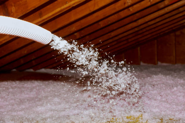 Best Soundproof Insulation Installation  in Panhandle, TX
