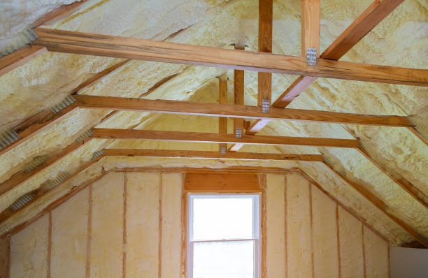 Best Insulation Removal  in Panhandle, TX