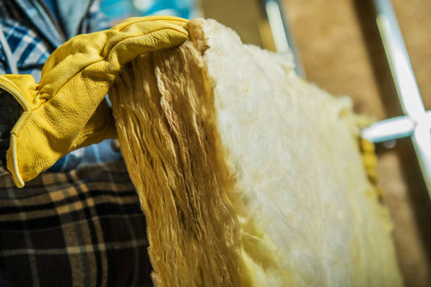 Best Insulation for Commercial Buildings  in Panhandle, TX