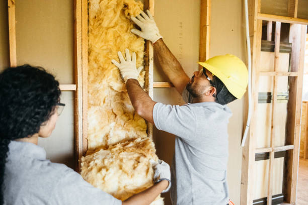 Best Energy-efficient Insulation  in Panhandle, TX
