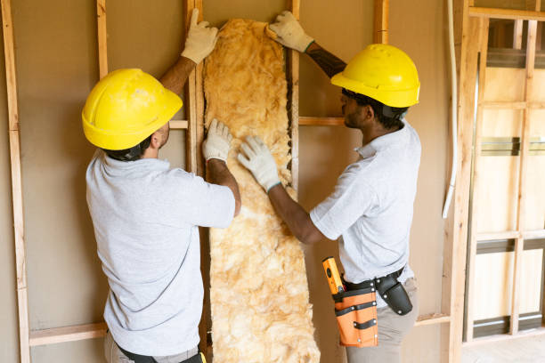 Best Insulation for New Construction  in Panhandle, TX